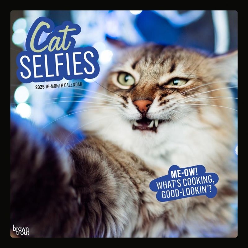 Cat Selfies 2025 Square Calendar/Product Detail/Calendars & Diaries