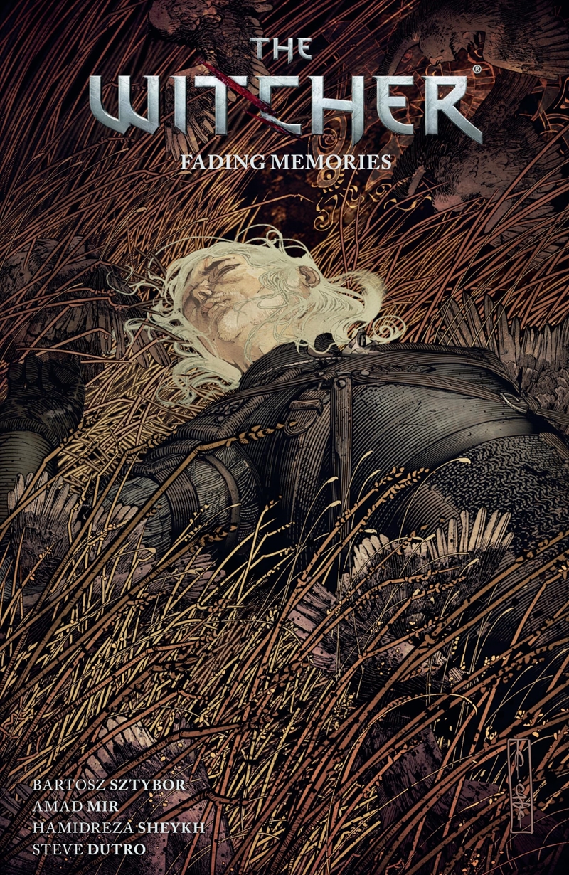 The Witcher Volume 5: Fading Memories/Product Detail/Graphic Novels