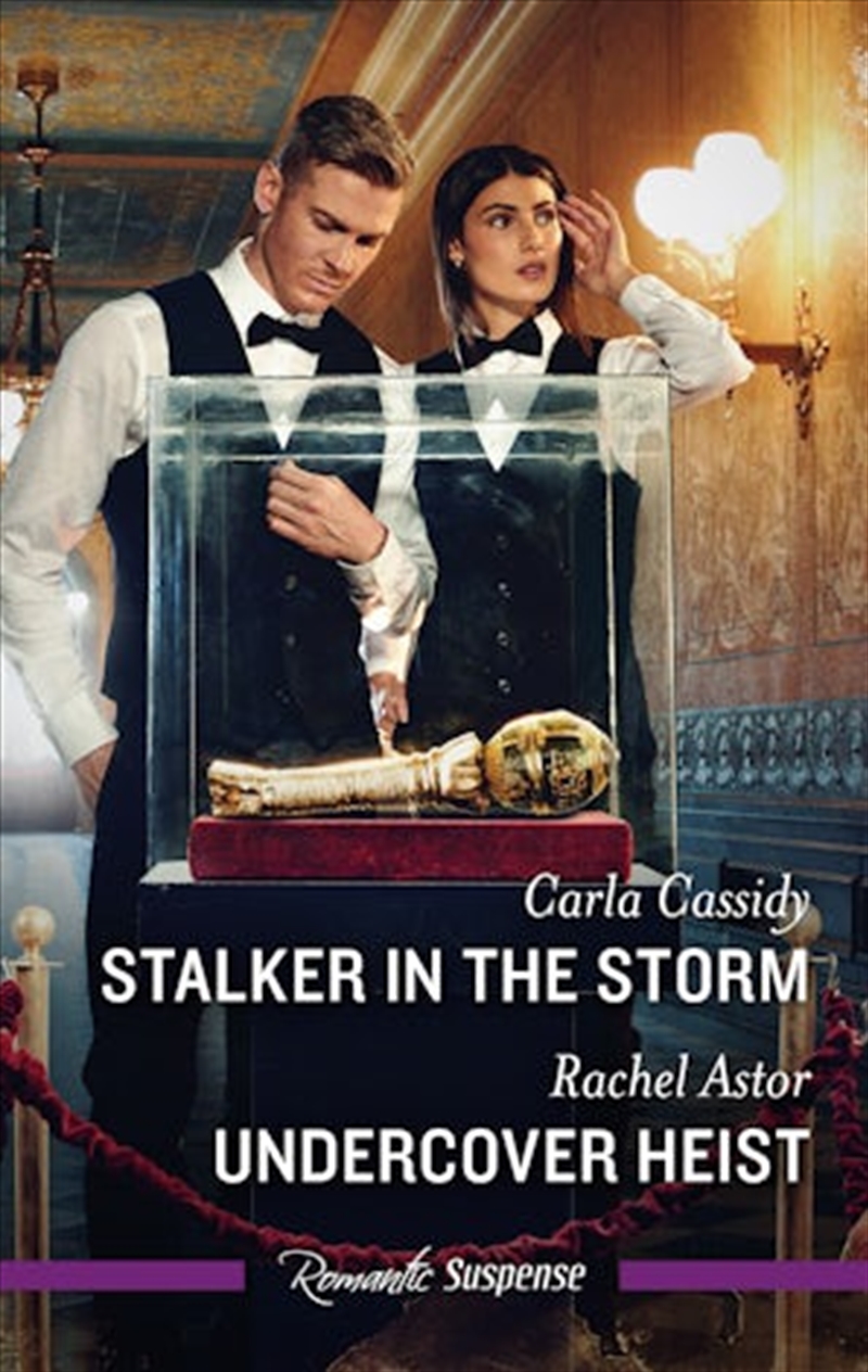 Stalker In The Storm/Undercover Heist/Product Detail/Romance