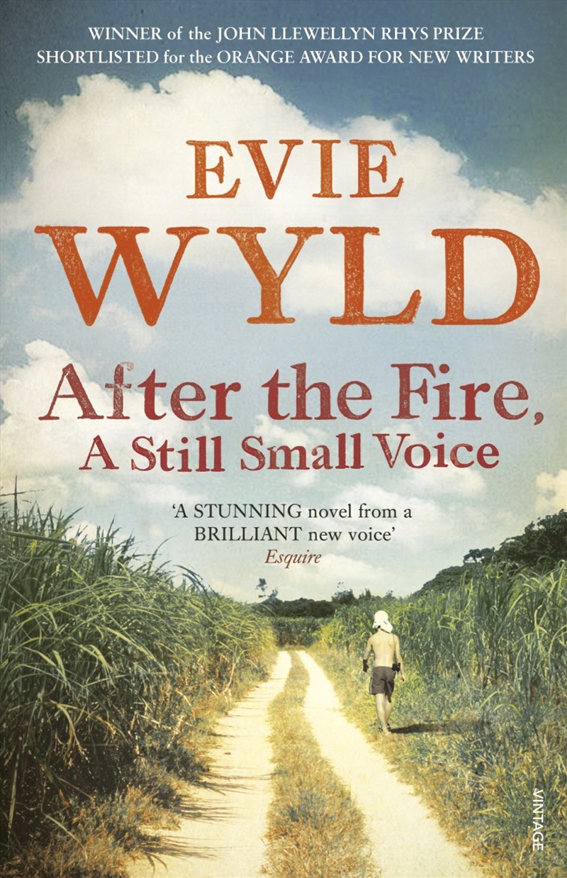 After the Fire, A Still Small Voice/Product Detail/General Fiction Books