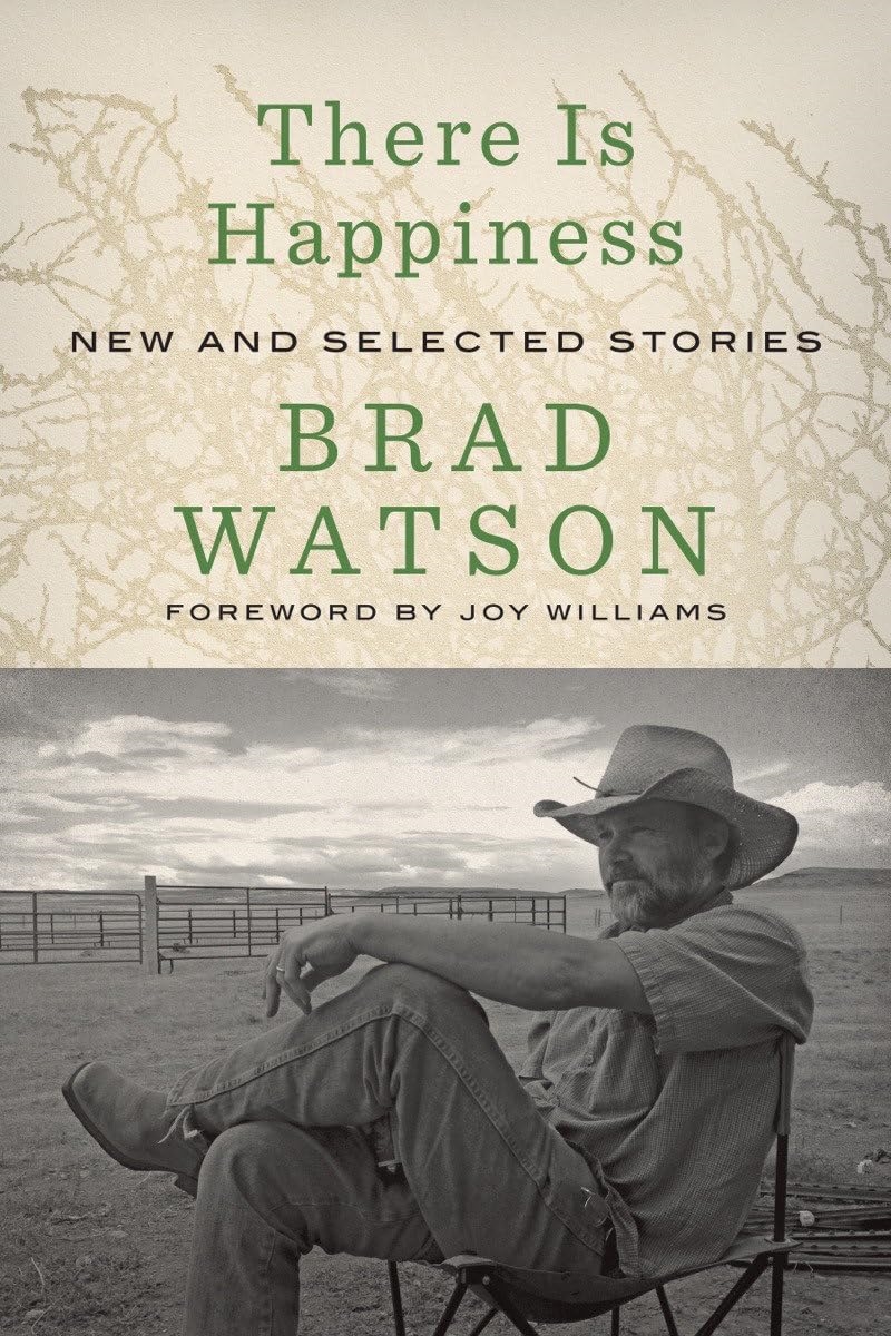 There Is Happiness: New and Selected Stories/Product Detail/General Fiction Books