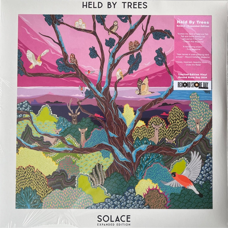 Solace/Product Detail/Rock/Pop