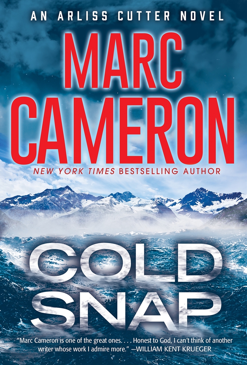 Cold Snap:An Action Packed Novel of Suspense/Product Detail/General Fiction Books