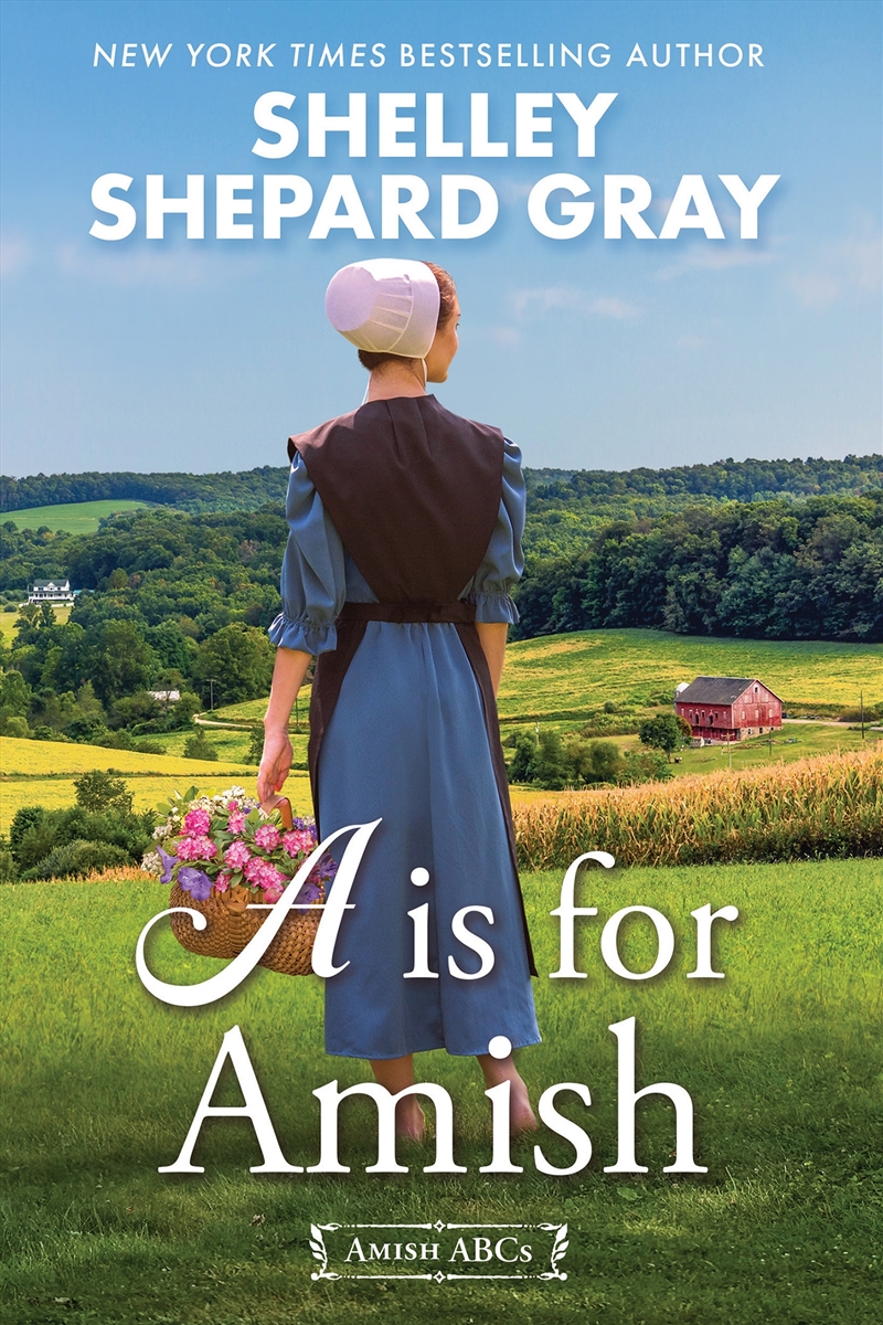 A Is for Amish/Product Detail/General Fiction Books