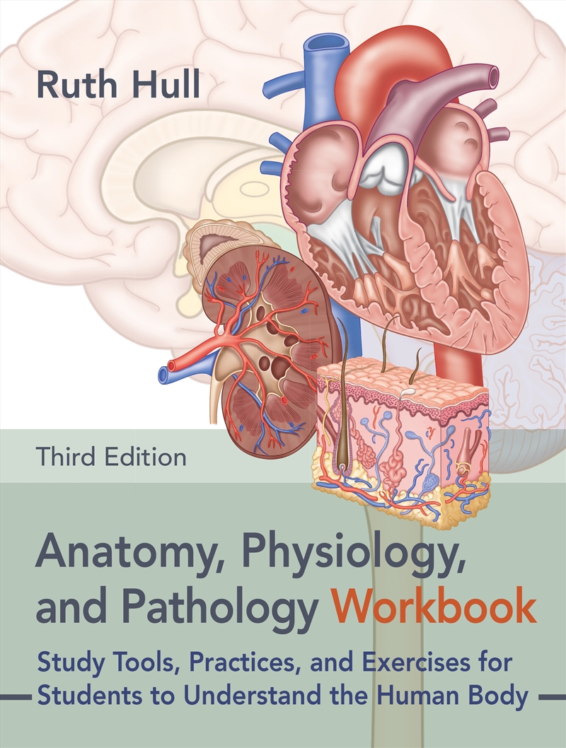 Anatomy, Physiology, and Pathology Workbook, Third Edition:Study Tools, Practices, and Exercises for/Product Detail/Family & Health