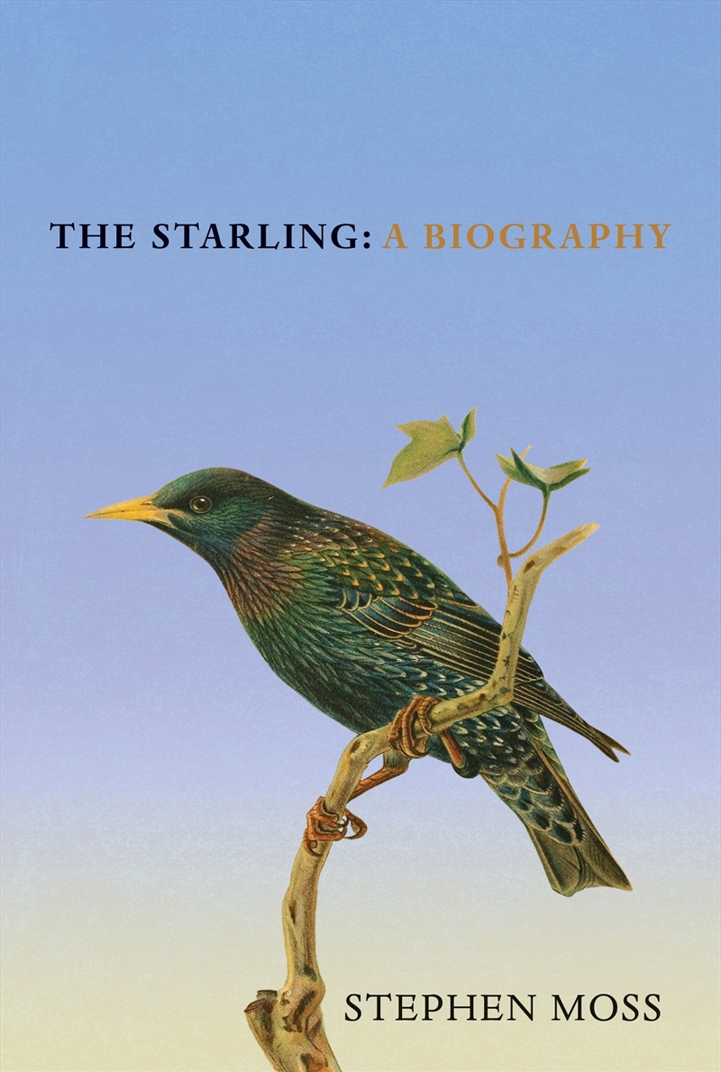 The Starling:A Biography/Product Detail/Reading