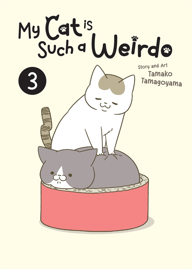 My Cat is Such a Weirdo Vol. 3/Product Detail/General Fiction Books