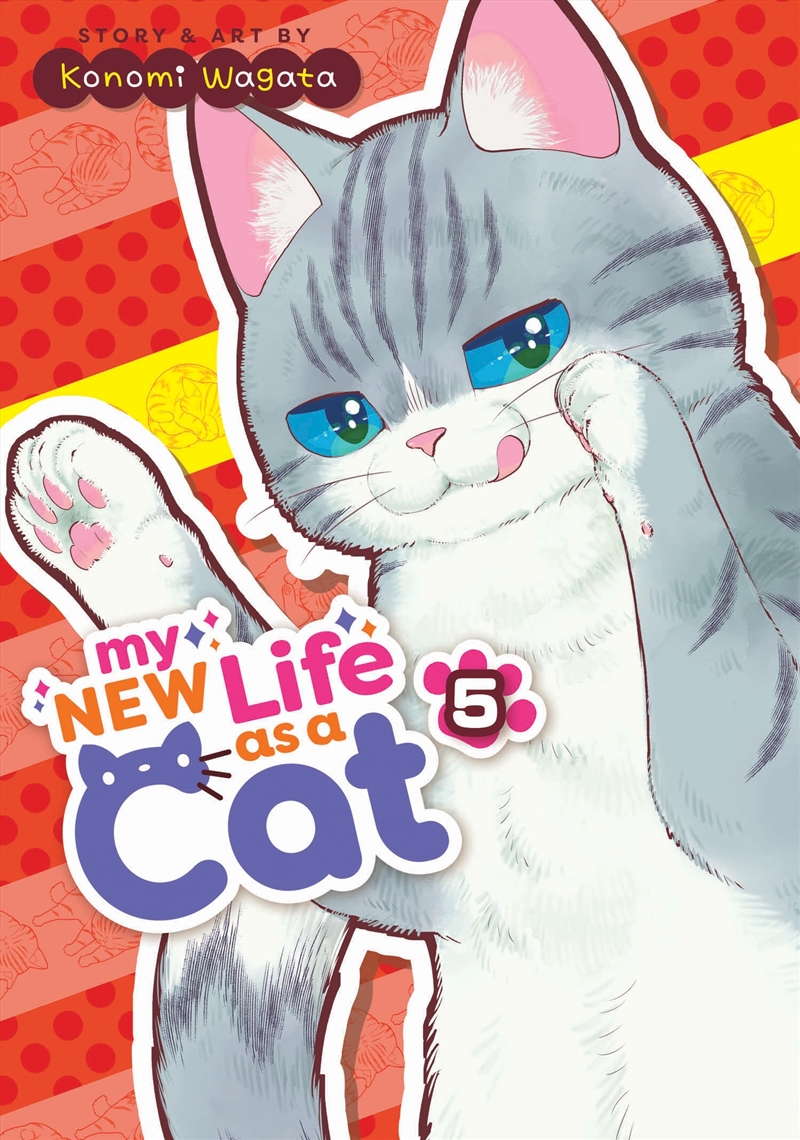 My New Life as a Cat Vol. 5/Product Detail/Graphic Novels