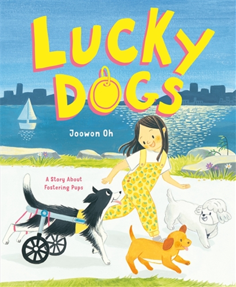 Lucky Dogs/Product Detail/Childrens Fiction Books