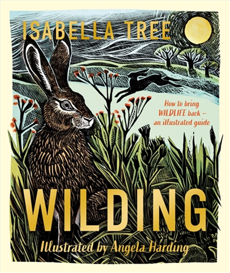 Wilding: How to Bring Wildlife Back - An Illustrated Guide/Product Detail/Childrens