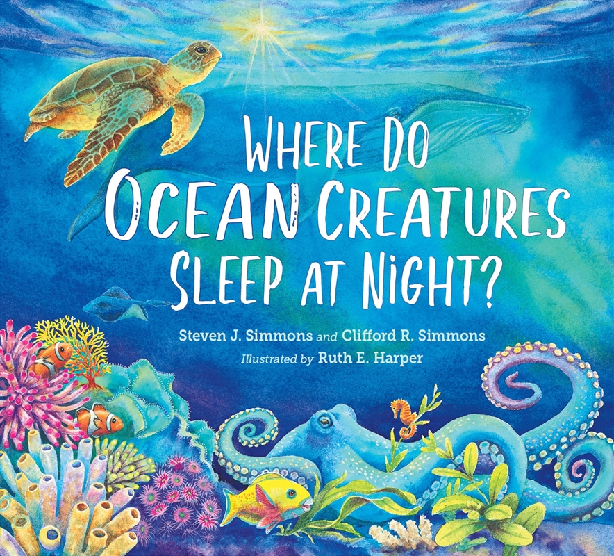 Where Do Ocean Creatures Sleep at Night?/Product Detail/Childrens