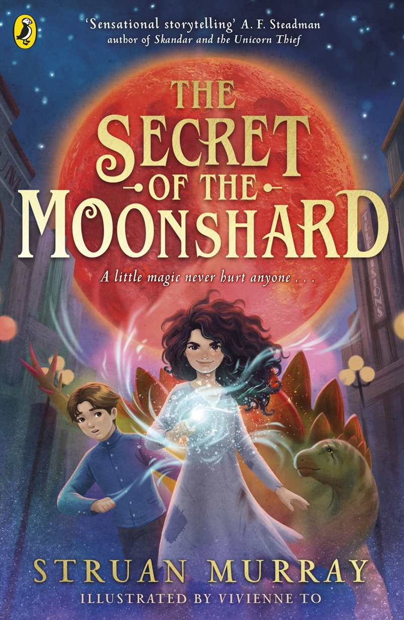 The Secret of the Moonshard/Product Detail/Childrens Fiction Books