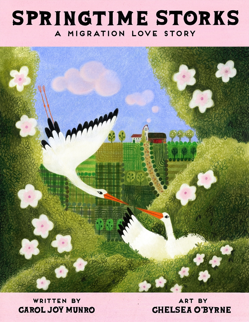 Springtime Storks: A Migration Love Story/Product Detail/Childrens