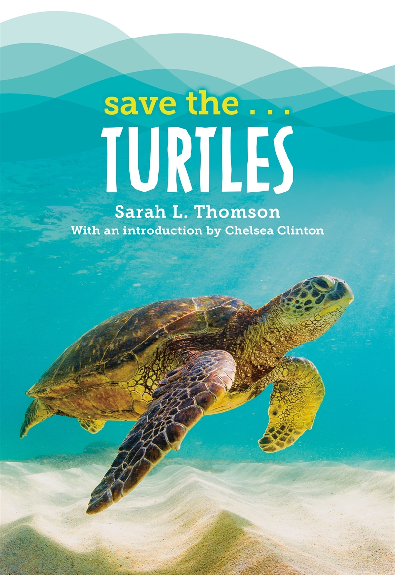 Save the...Turtles/Product Detail/Childrens