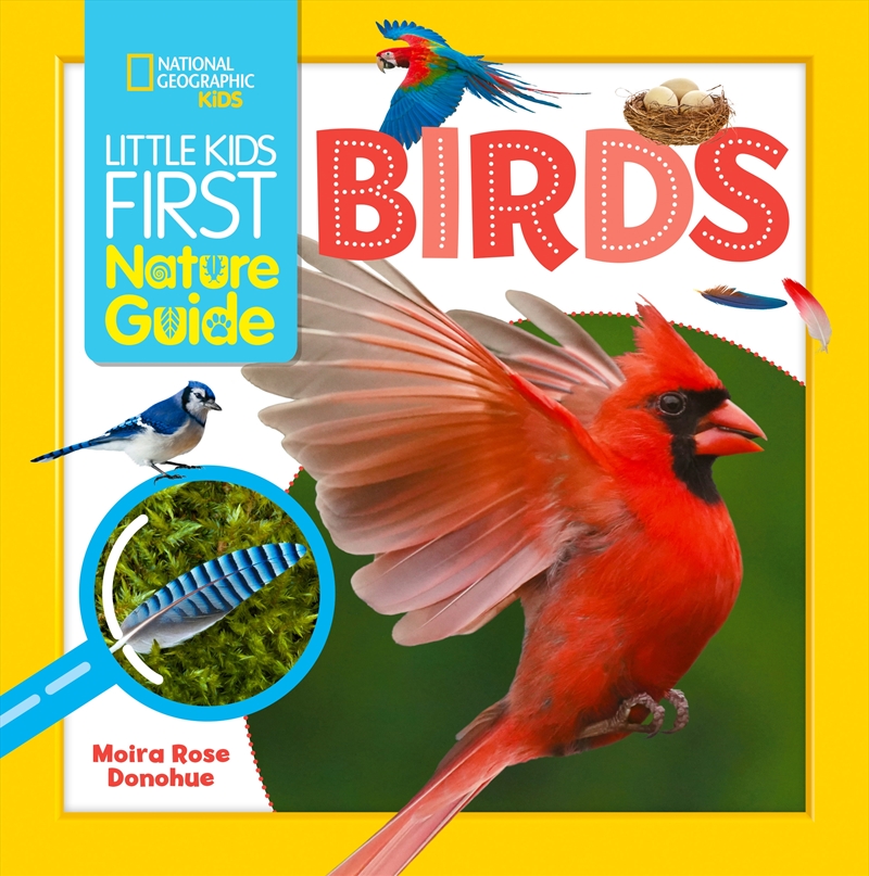 Little Kids First Nature Guide Birds/Product Detail/Childrens