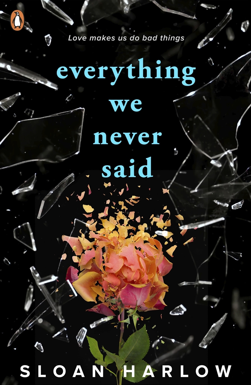 Everything We Never Said/Product Detail/Childrens Fiction Books