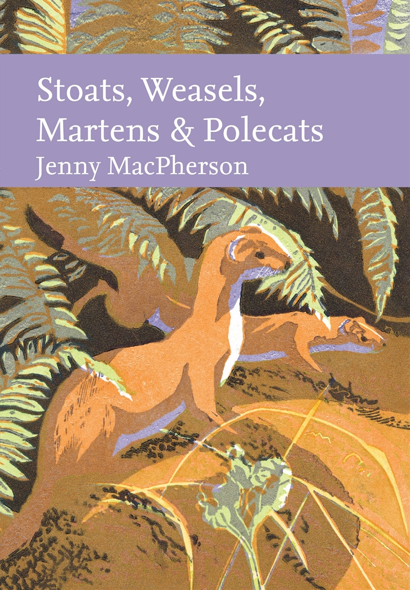 Stoat, Weasel, Marten and Polecats/Product Detail/Animals & Nature