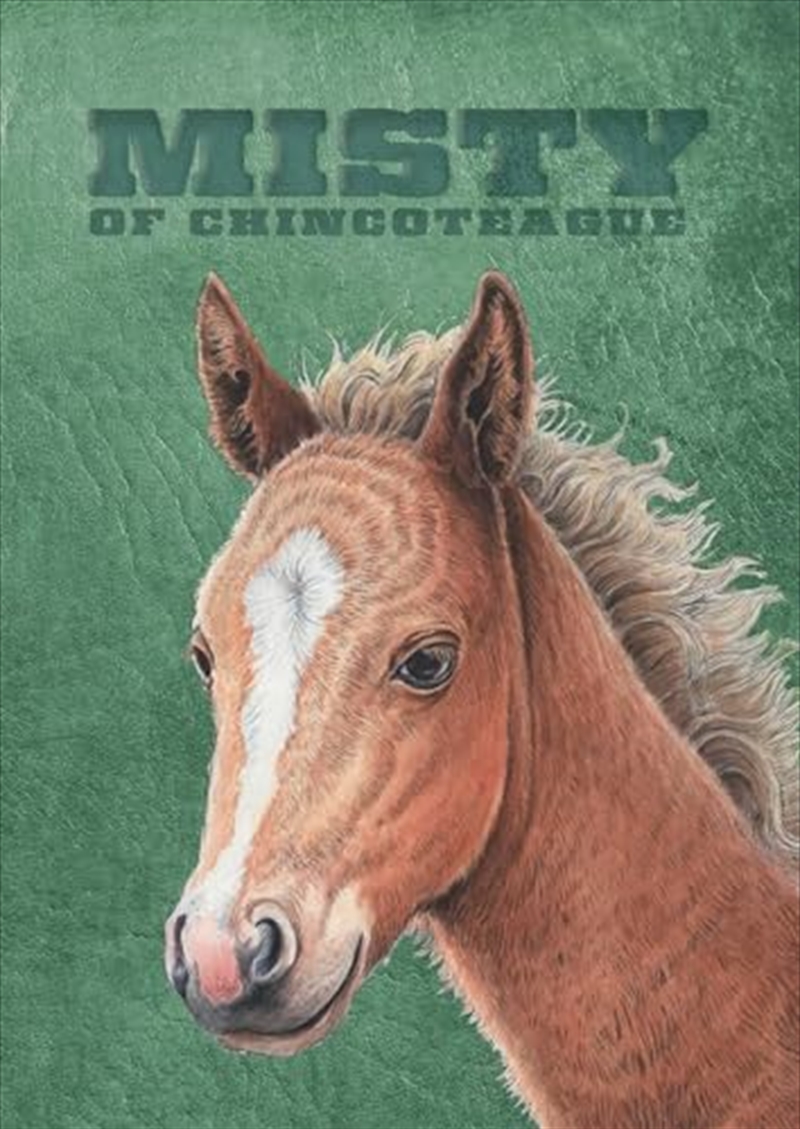 Misty of Chincoteague: Special Edition/Product Detail/Childrens Fiction Books