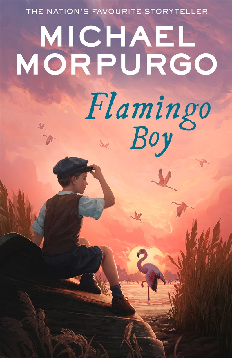 Flamingo Boy/Product Detail/Childrens Fiction Books