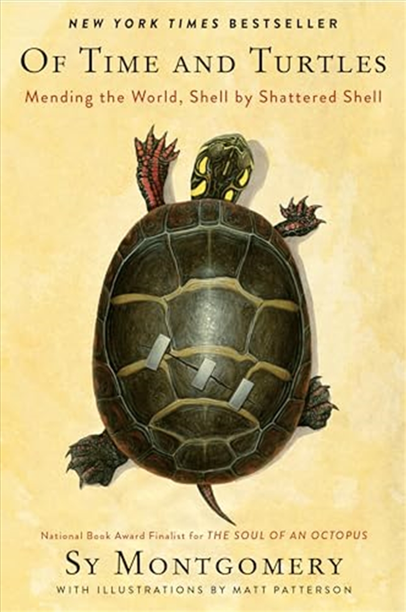 Of Time and Turtles: Mending the World, Shell by Shattered Shell/Product Detail/Animals & Nature