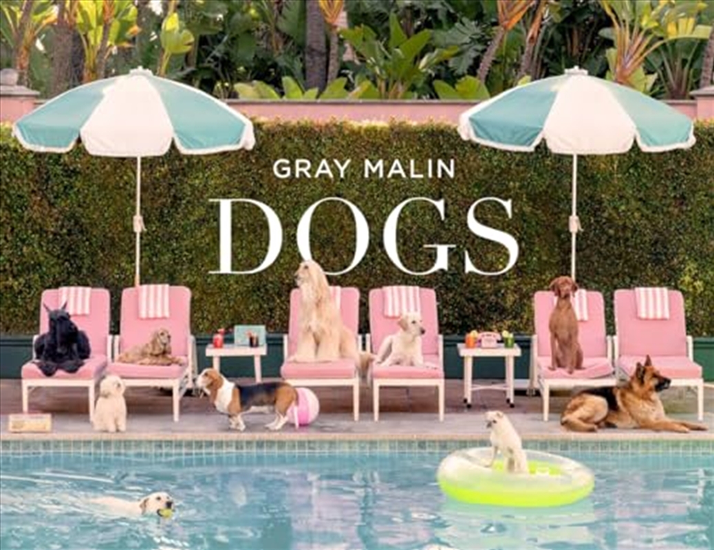 Gray Malin: Dogs/Product Detail/Photography