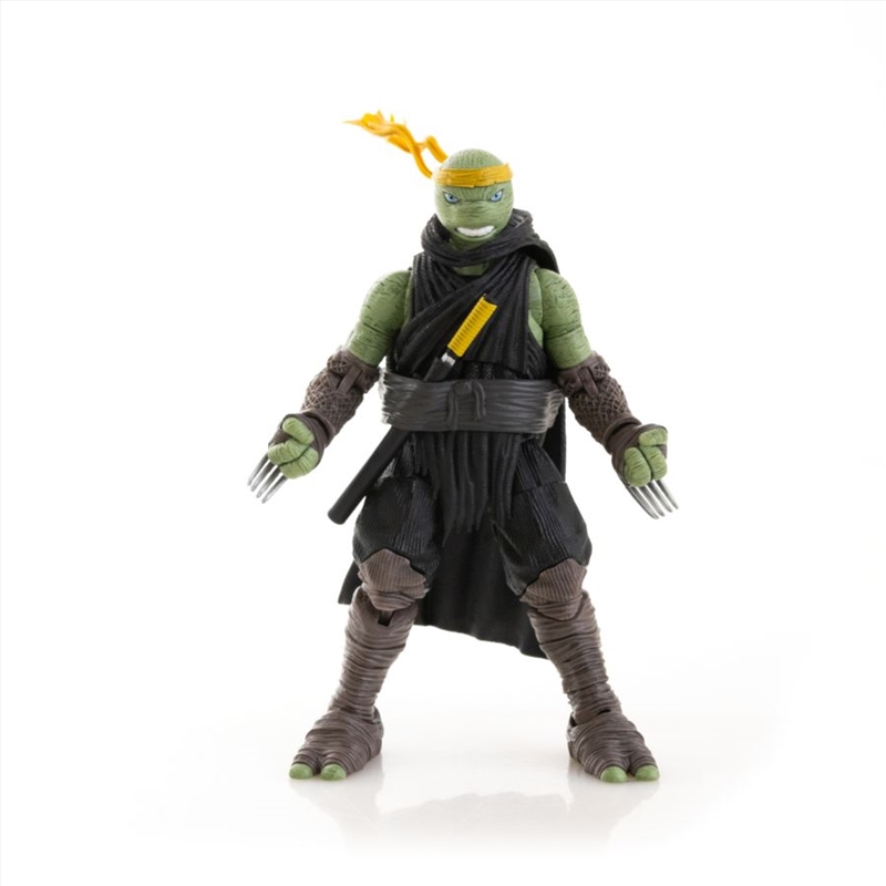 Teenage Mutant Ninja Turtles (comics) - Jennika 5" Action Figure/Product Detail/Figurines