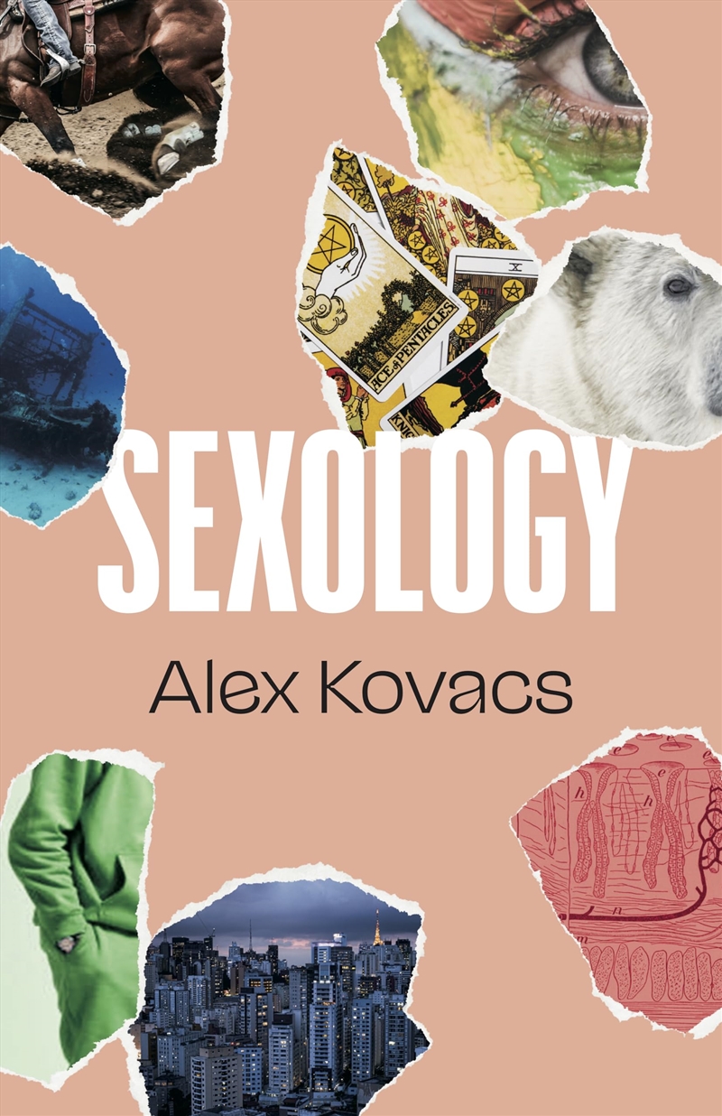 Sexology (British Literature)/Product Detail/Modern & Contemporary