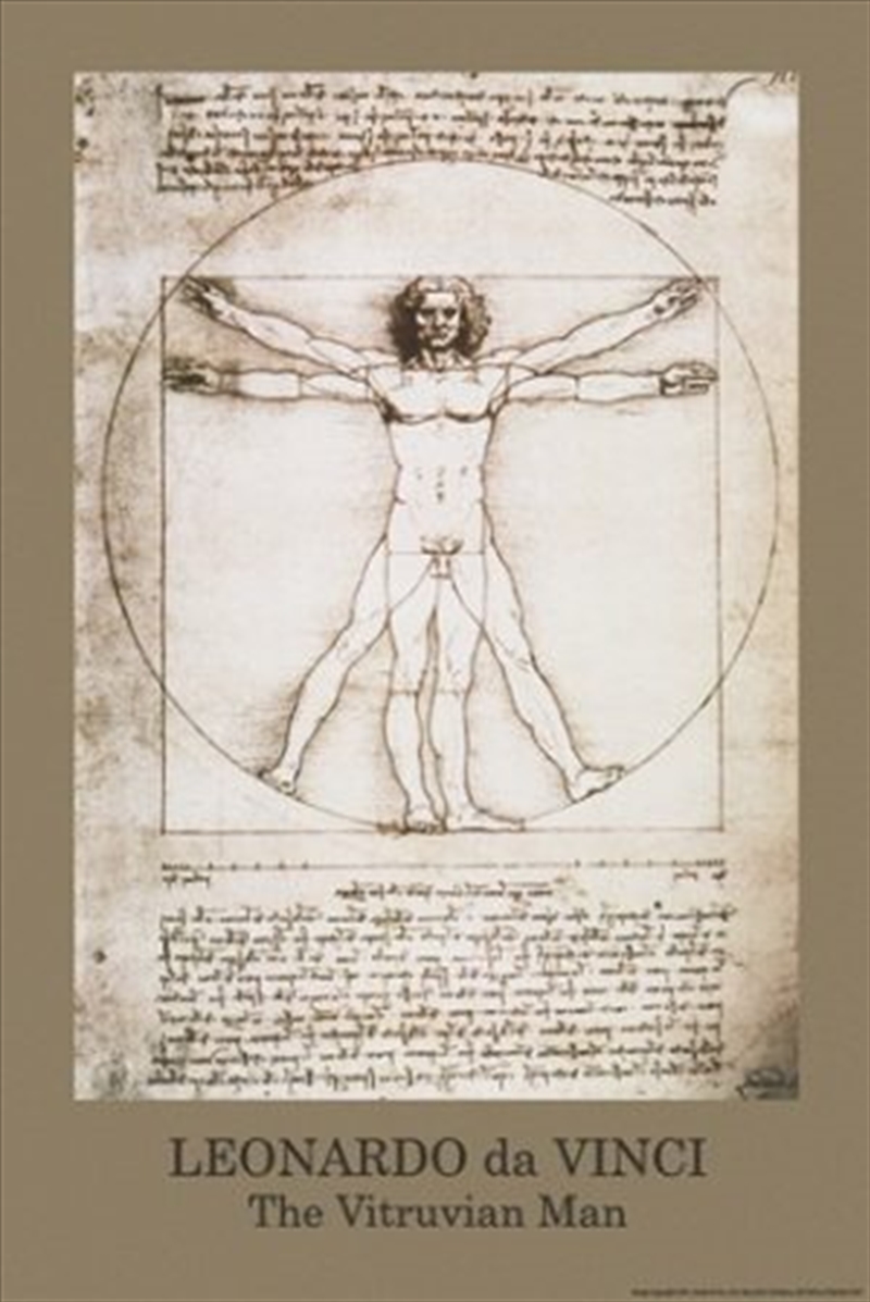 Da Vinci Vitruvian Man Poster/Product Detail/Posters & Prints