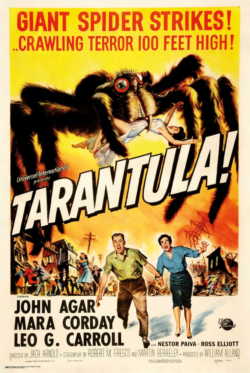 Tarantula Poster/Product Detail/Posters & Prints