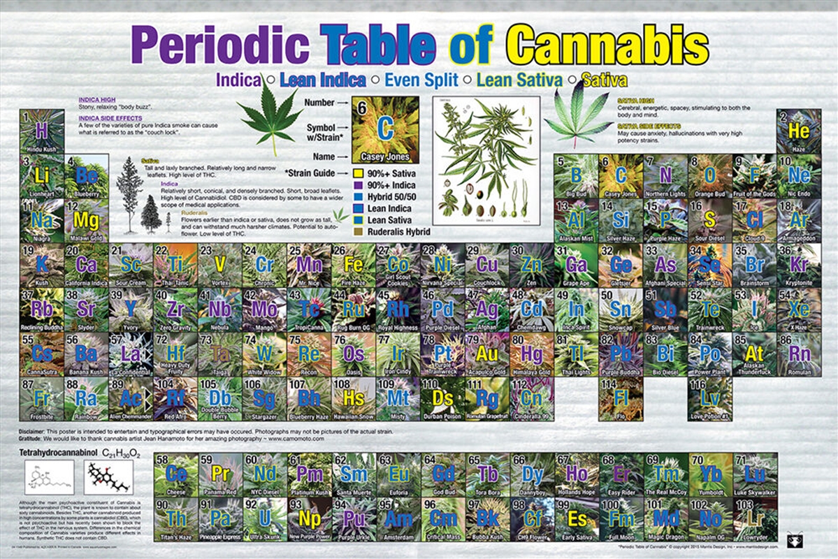 Periodic Table Of Cannabis Poster/Product Detail/Posters & Prints