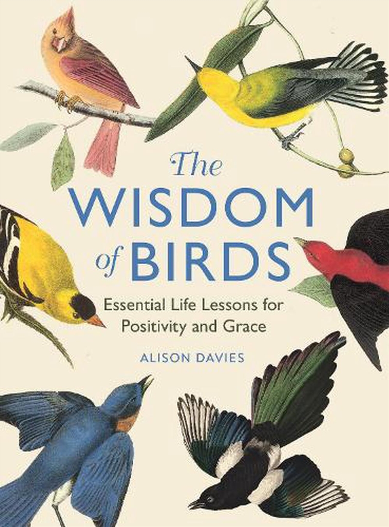 The Wisdom of Birds/Product Detail/Animals & Nature