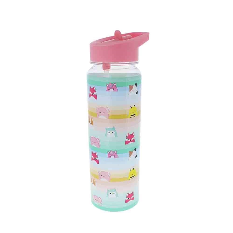 Squishmallows Water Bottle/Product Detail/Drinkware