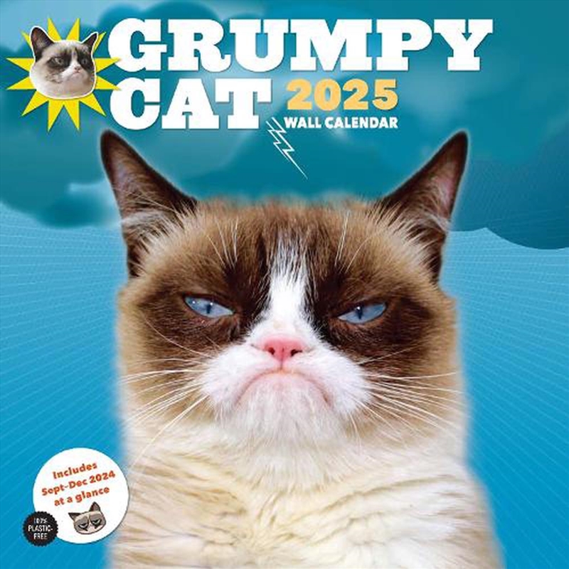 Grumpy Cat 2025 Wall Calendar/Product Detail/Calendars & Diaries