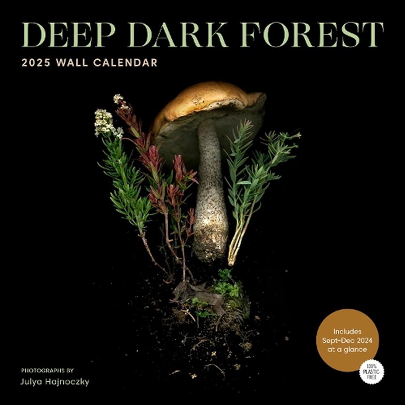 Deep Dark Forest 2025 Wall Calendar/Product Detail/Calendars & Diaries