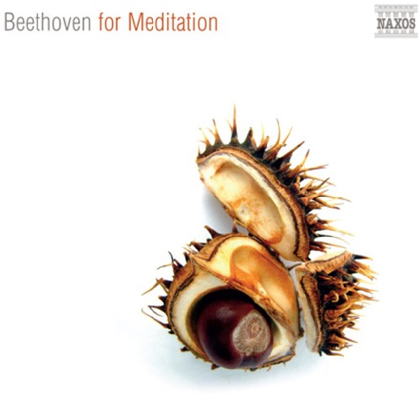 Beethoven For Meditation/Product Detail/Classical