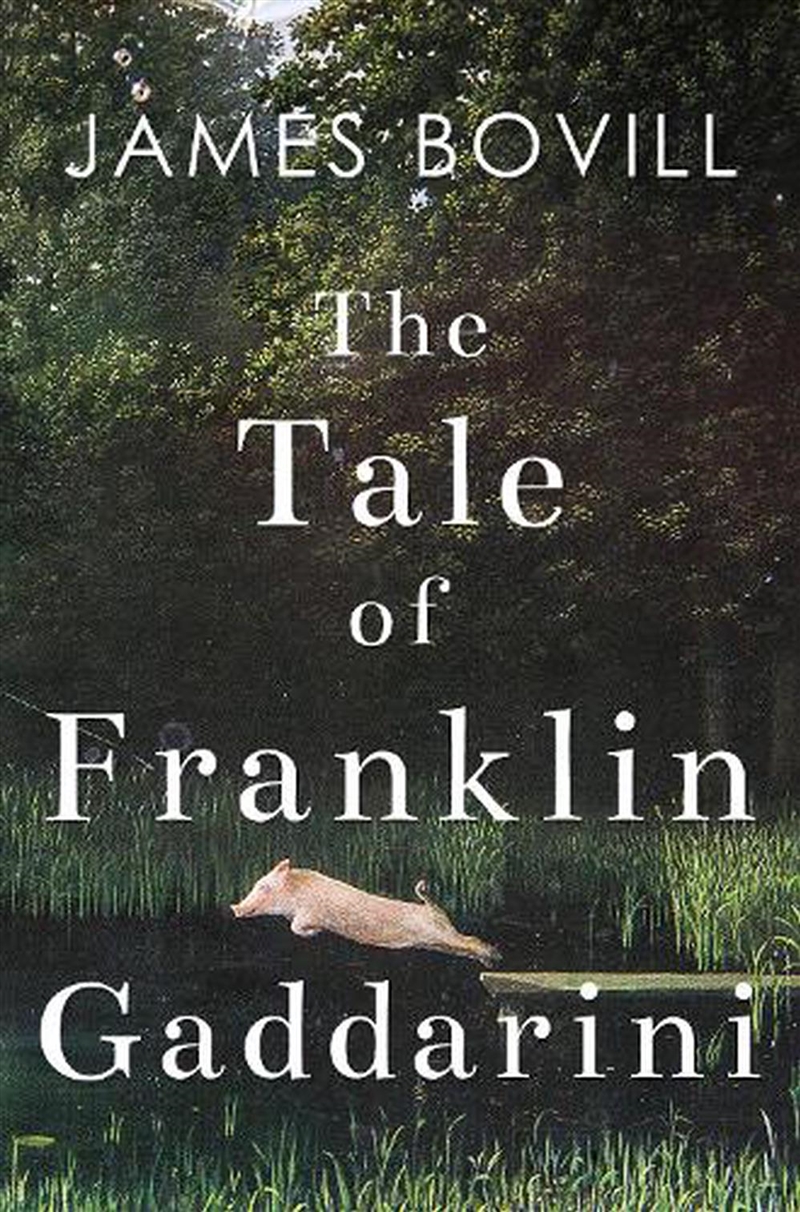 The Tale Of Franklin Gaddarini/Product Detail/General Fiction Books