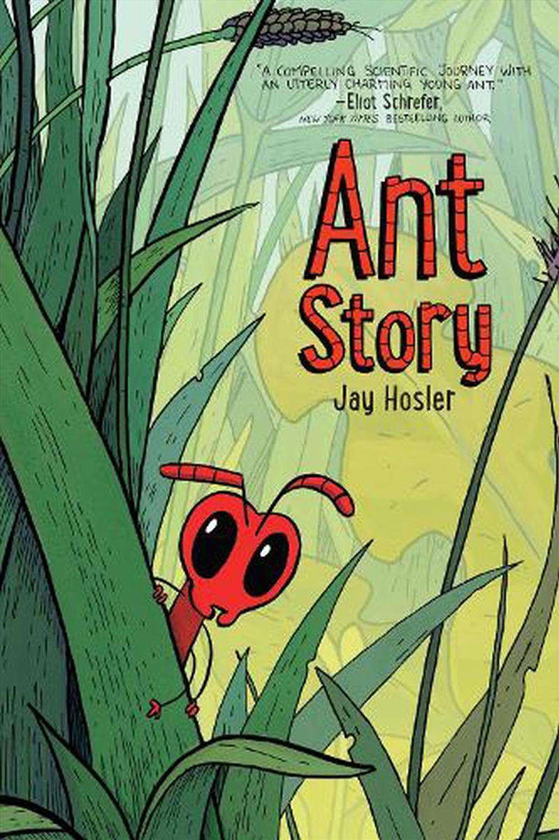 Ant Story/Product Detail/Childrens Fiction Books