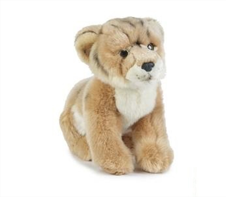 Lion Cub Small 25cm/Product Detail/Plush Toys