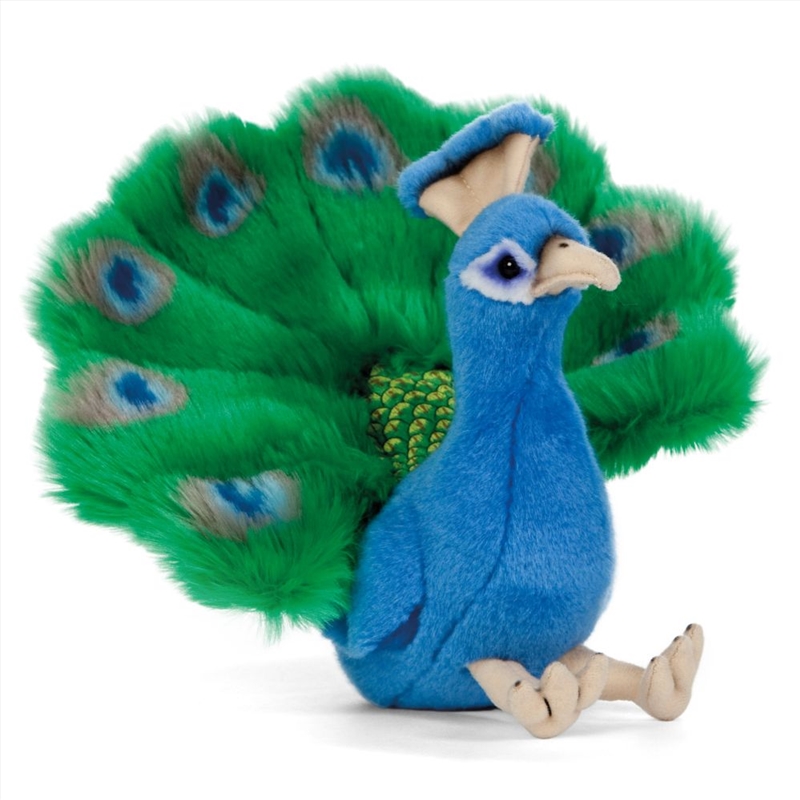 Peacock 18cm/Product Detail/Plush Toys