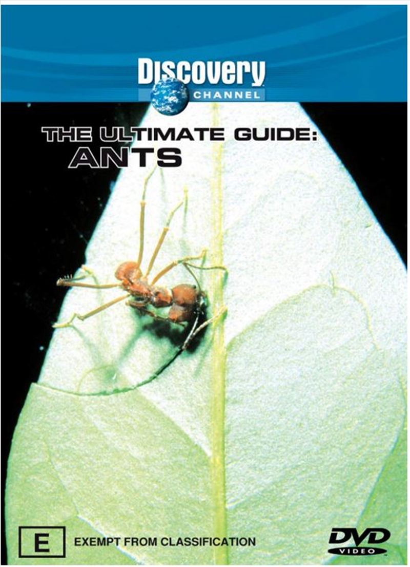 Discovery - Ultimate Guide, The - Ants/Product Detail/Documentary