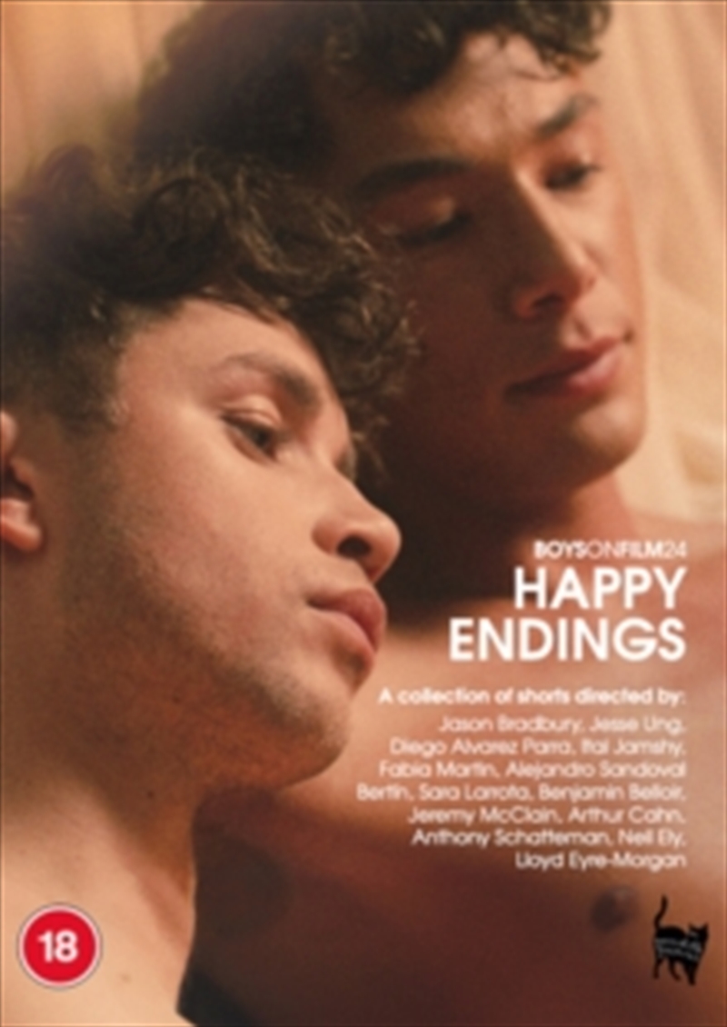 Boys On Film 24 - Happy Endings  (REGION 2)/Product Detail/Drama