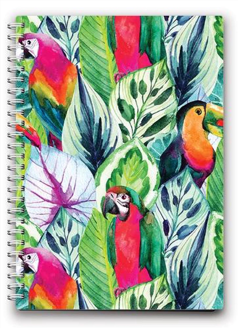 Toucan Birds A5 Spiral Notepad/Product Detail/Stationery