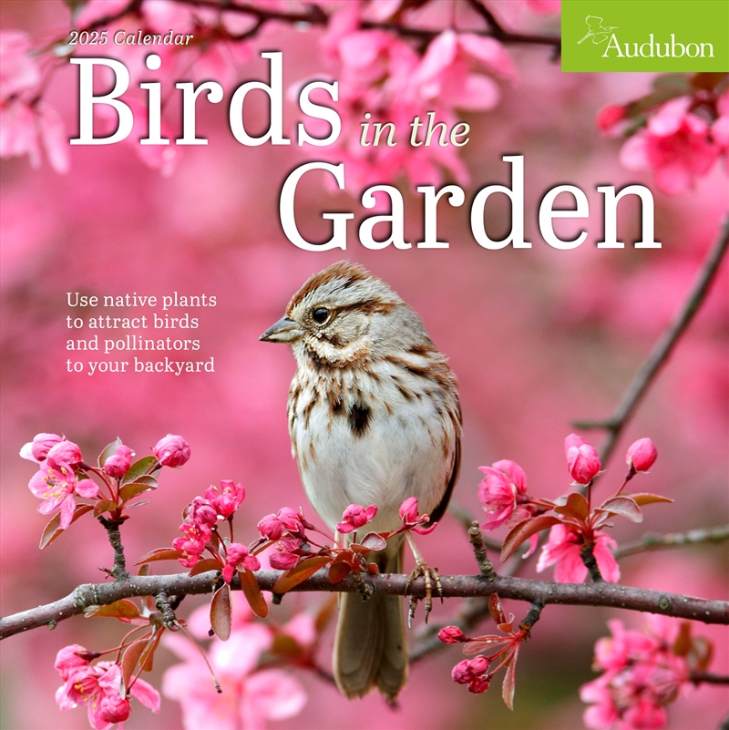 Audubon Birds in the Garden Wall Calendar 2025/Product Detail/Calendars & Diaries