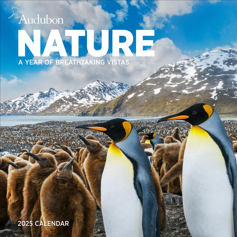 Audubon Nature Wall Calendar 2025/Product Detail/Calendars & Diaries