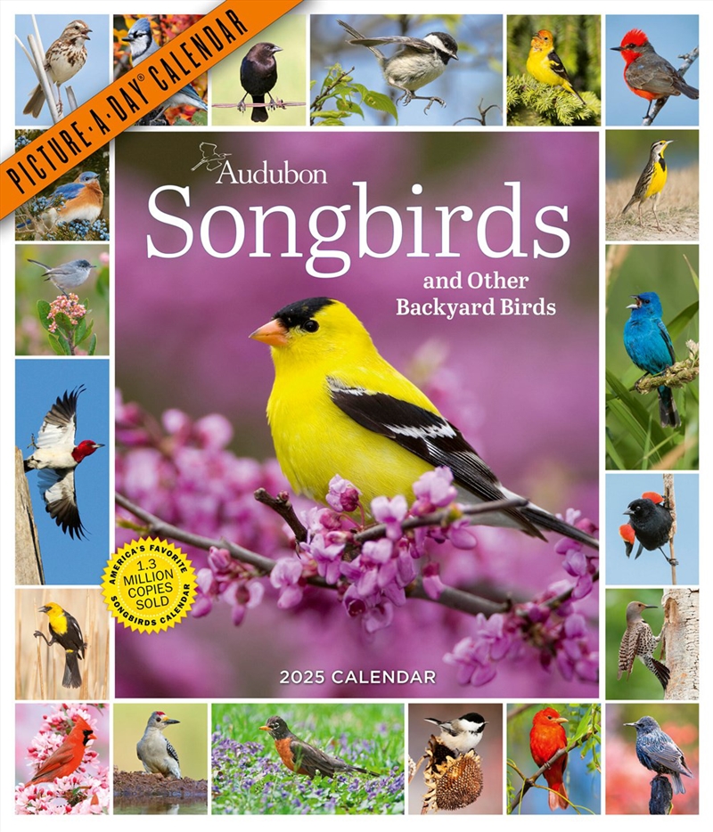 Audubon Songbirds and Other Backyard Birds Picture-A-Day  Wall Calendar 2025/Product Detail/Calendars & Diaries