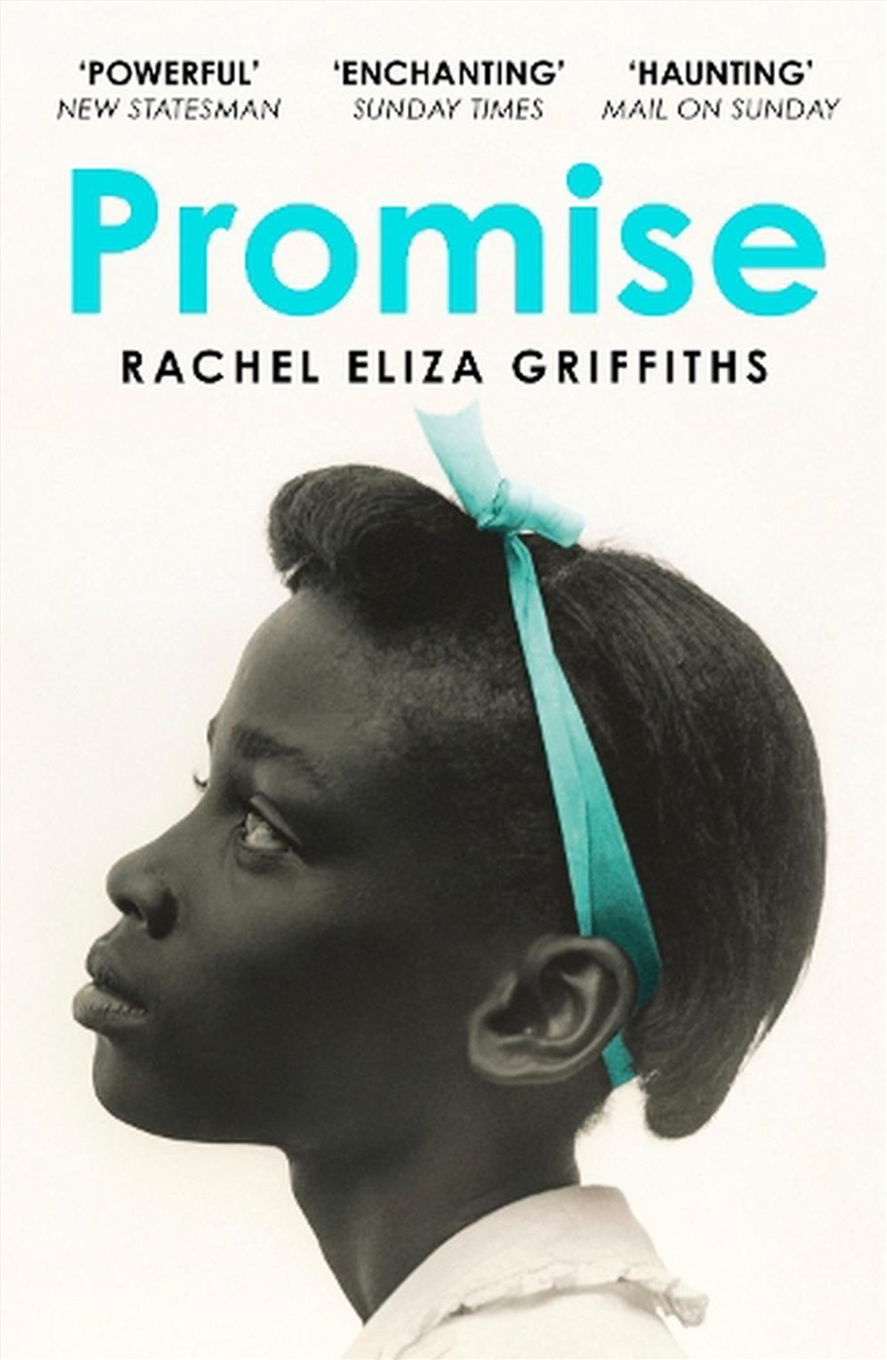 Promise/Product Detail/Historical Fiction