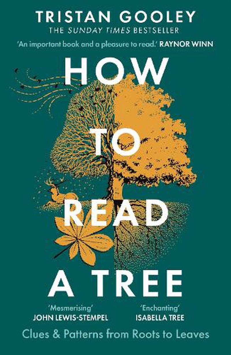 How to Read a Tree/Product Detail/Sport & Recreation