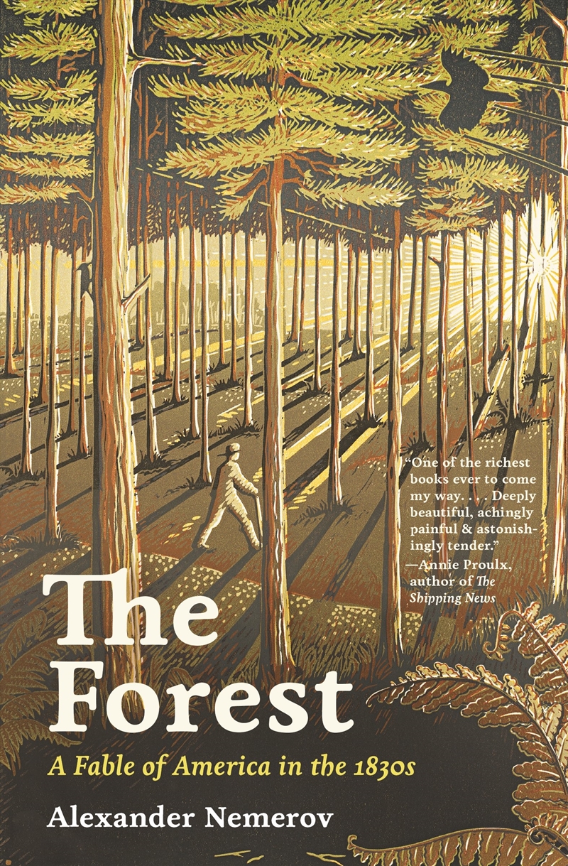 The Forest/Product Detail/History