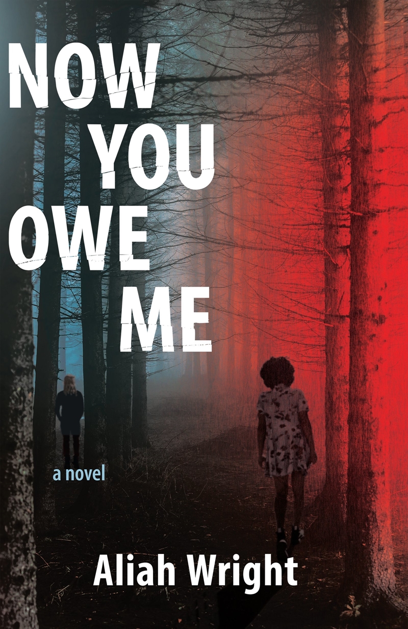 Now You Owe Me/Product Detail/Thrillers & Horror Books