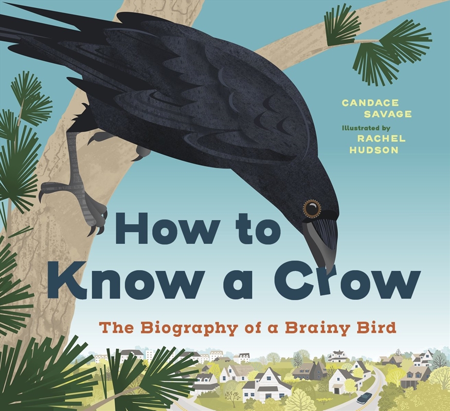 How to Know a Crow/Product Detail/Childrens